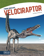 Velociraptor by Sheryl Peterson