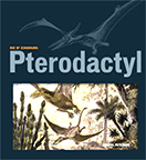 Pterodactyl by Sheryl Peterson