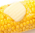 corn-on-the-cob